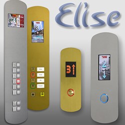 ELISE